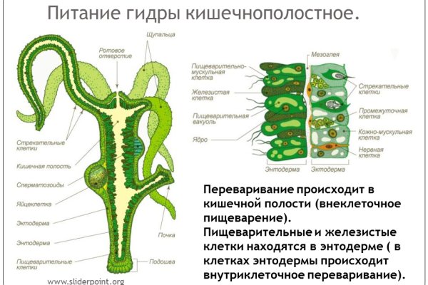 Кракен прямая ссылка